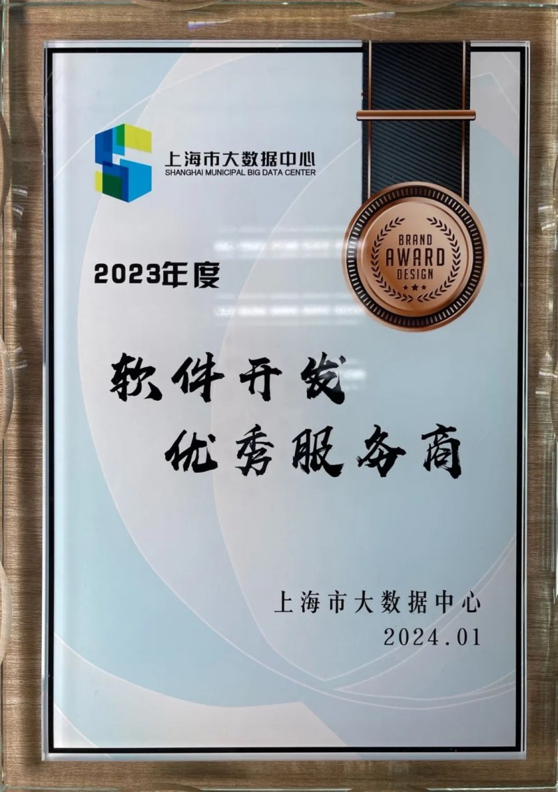 上海软件开发行业：智慧转型与创新之光